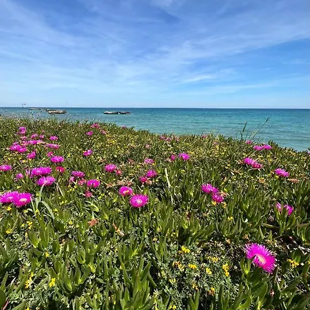Casaalessandra San Foca