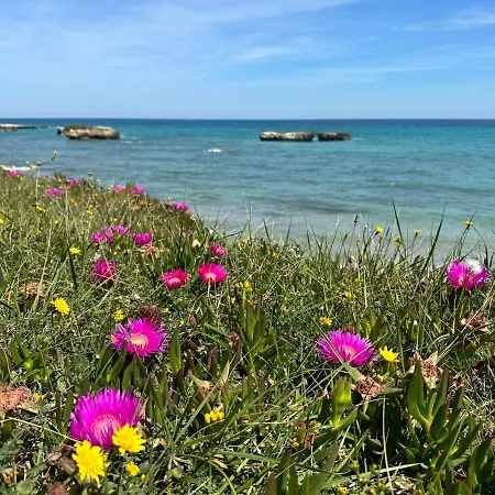 Casaalessandra San Foca