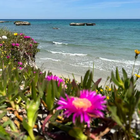 Casaalessandra 3* San Foca